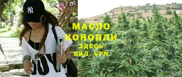 спиды Абаза