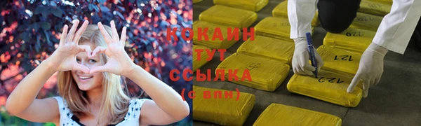 спиды Абаза