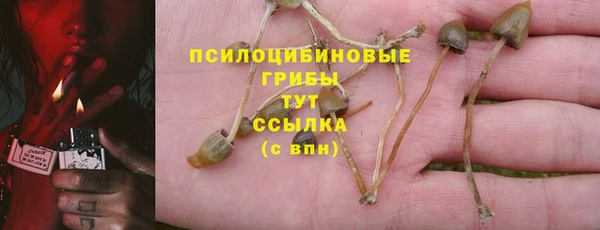 ECSTASY Абдулино