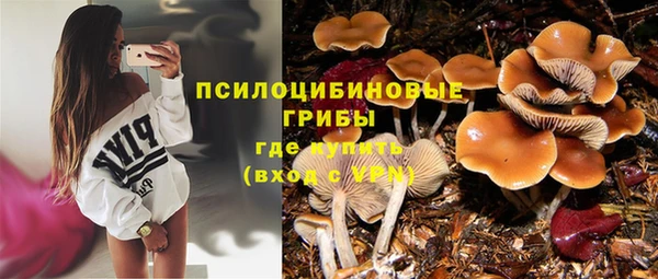 кокс Медвежьегорск