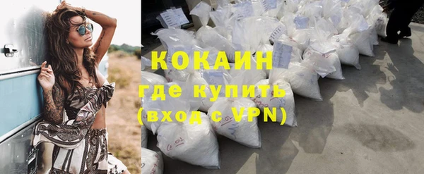 гашик Алзамай
